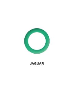 Junta Tórica Jaguar  13.10 x 1.60  (5 uds.)
