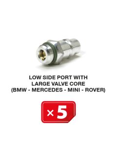 Boquilla lado Baja Presión con válvula larga (BMW-Mercedes-Mini-Rover) (5 uds.)